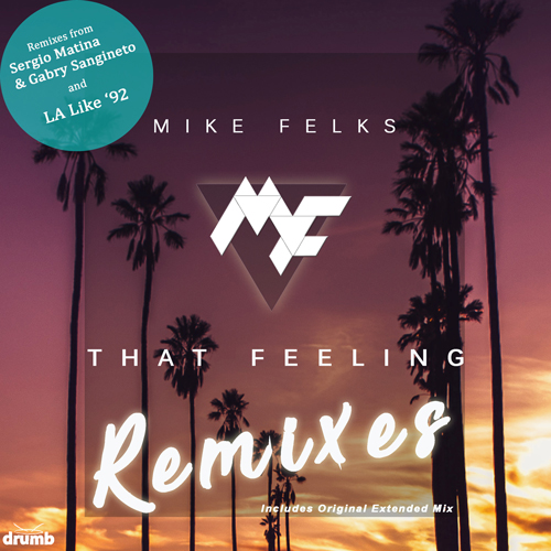 Mike Felks - That Feeling (TendenziA Rmx)